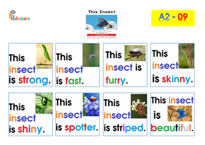A9- Print A3-the insect